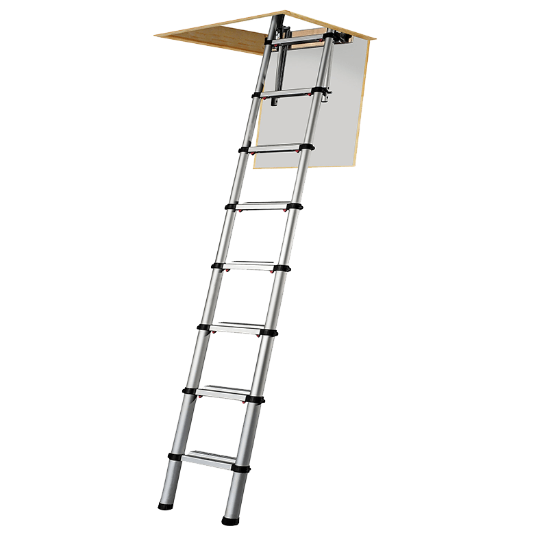 collapsible ladder on transparent background