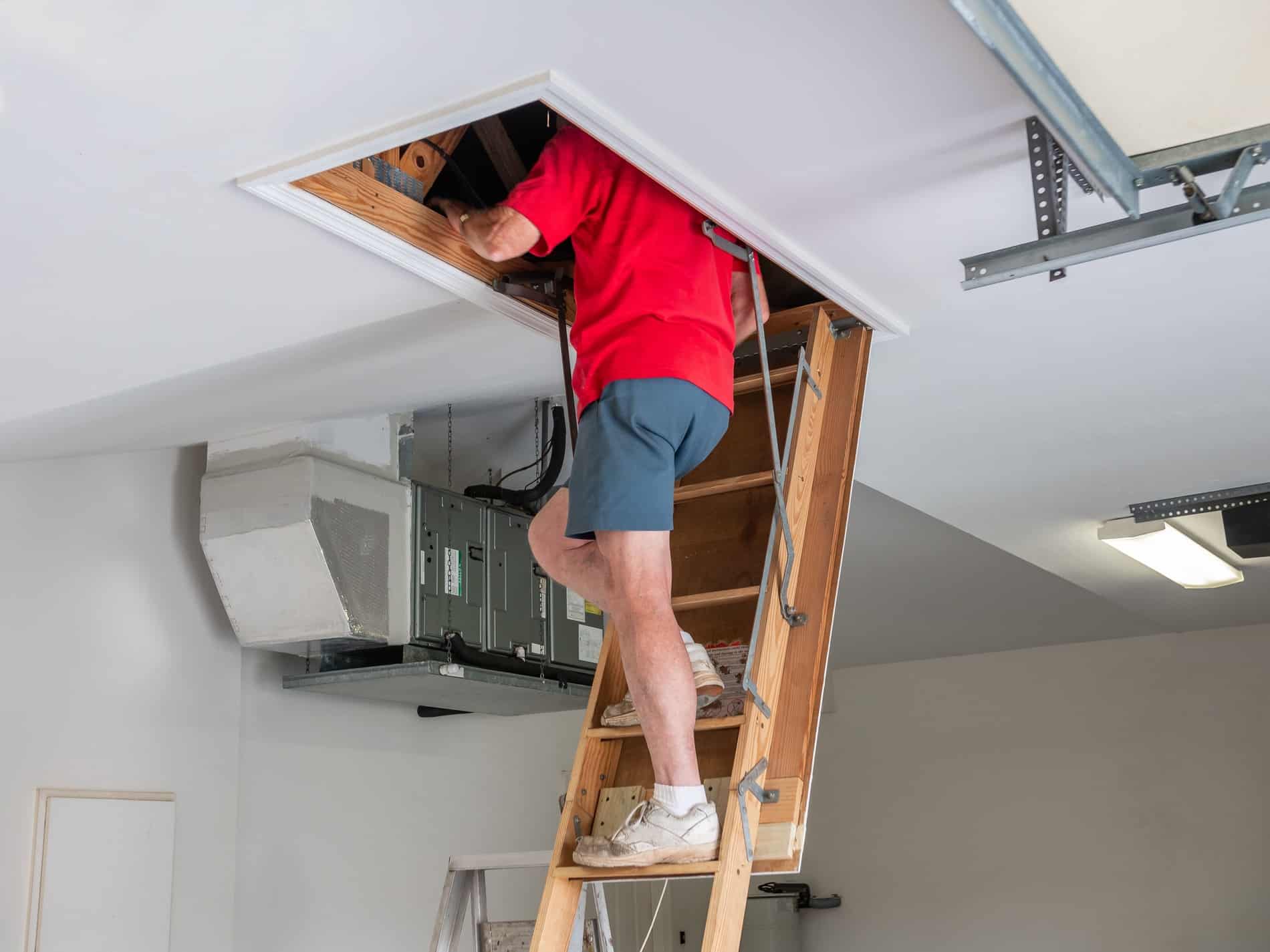 Loft Safety Advice